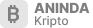 Anında Kripto